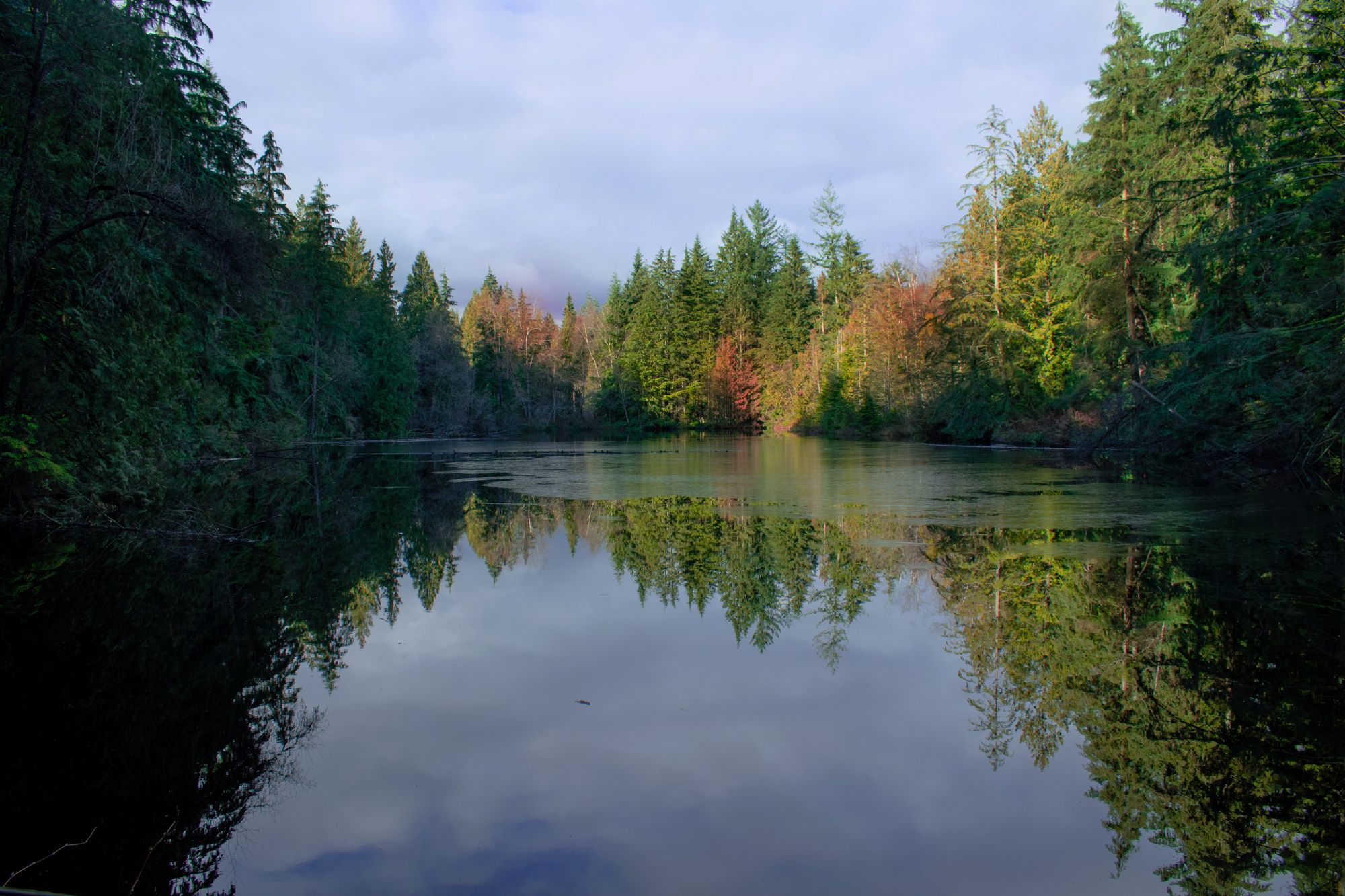 Deer Lake / Oakland / Buckingham Heights