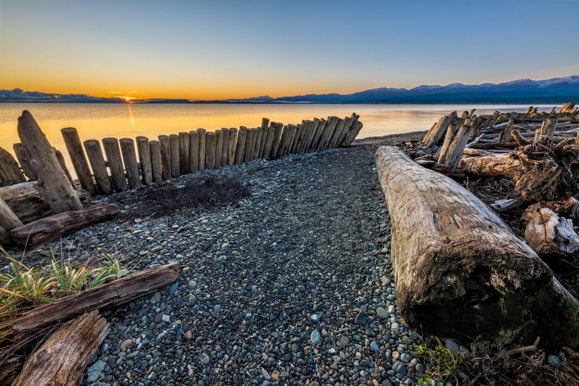 Beach Grove