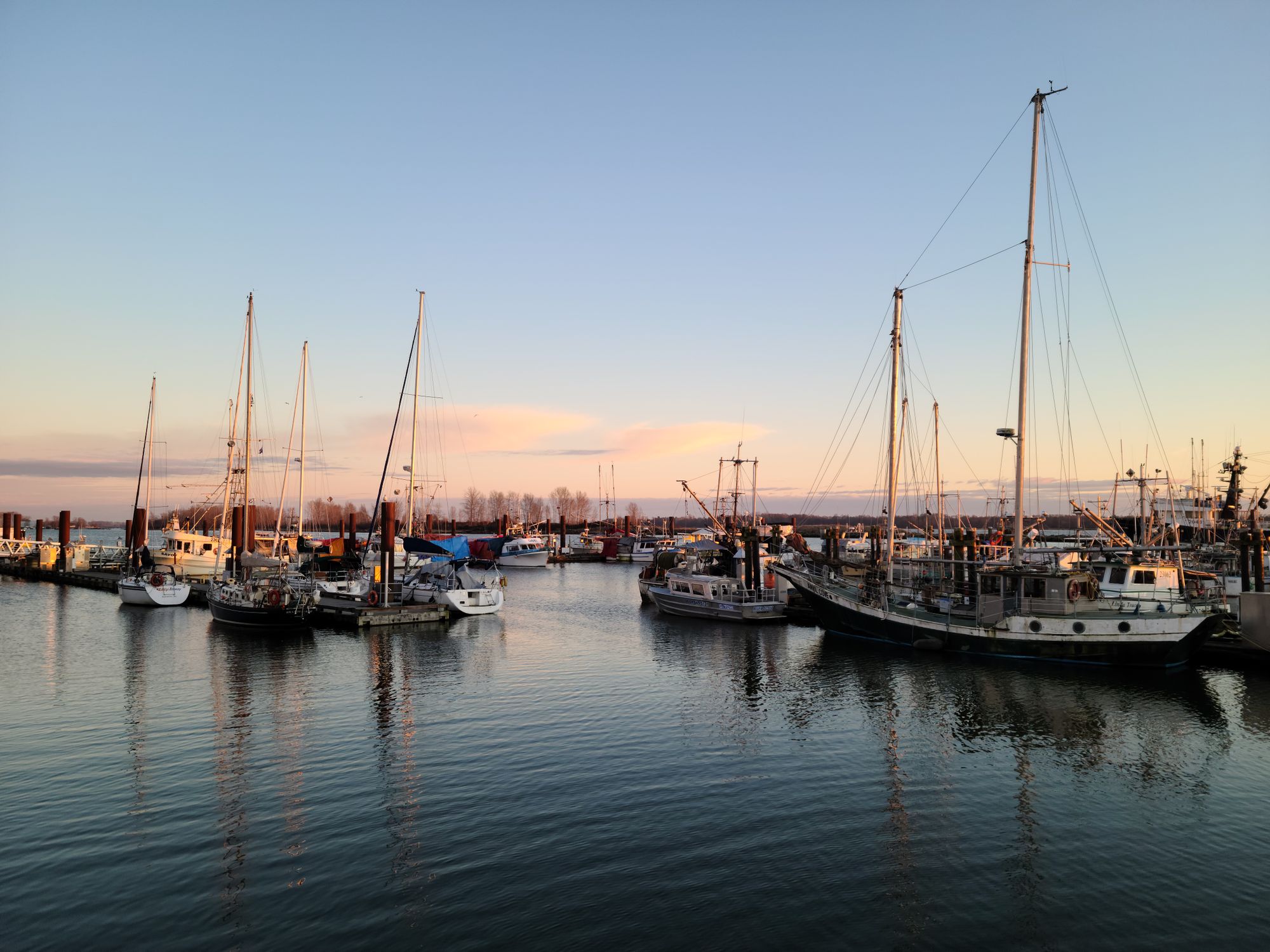 Port Coquitlam North
