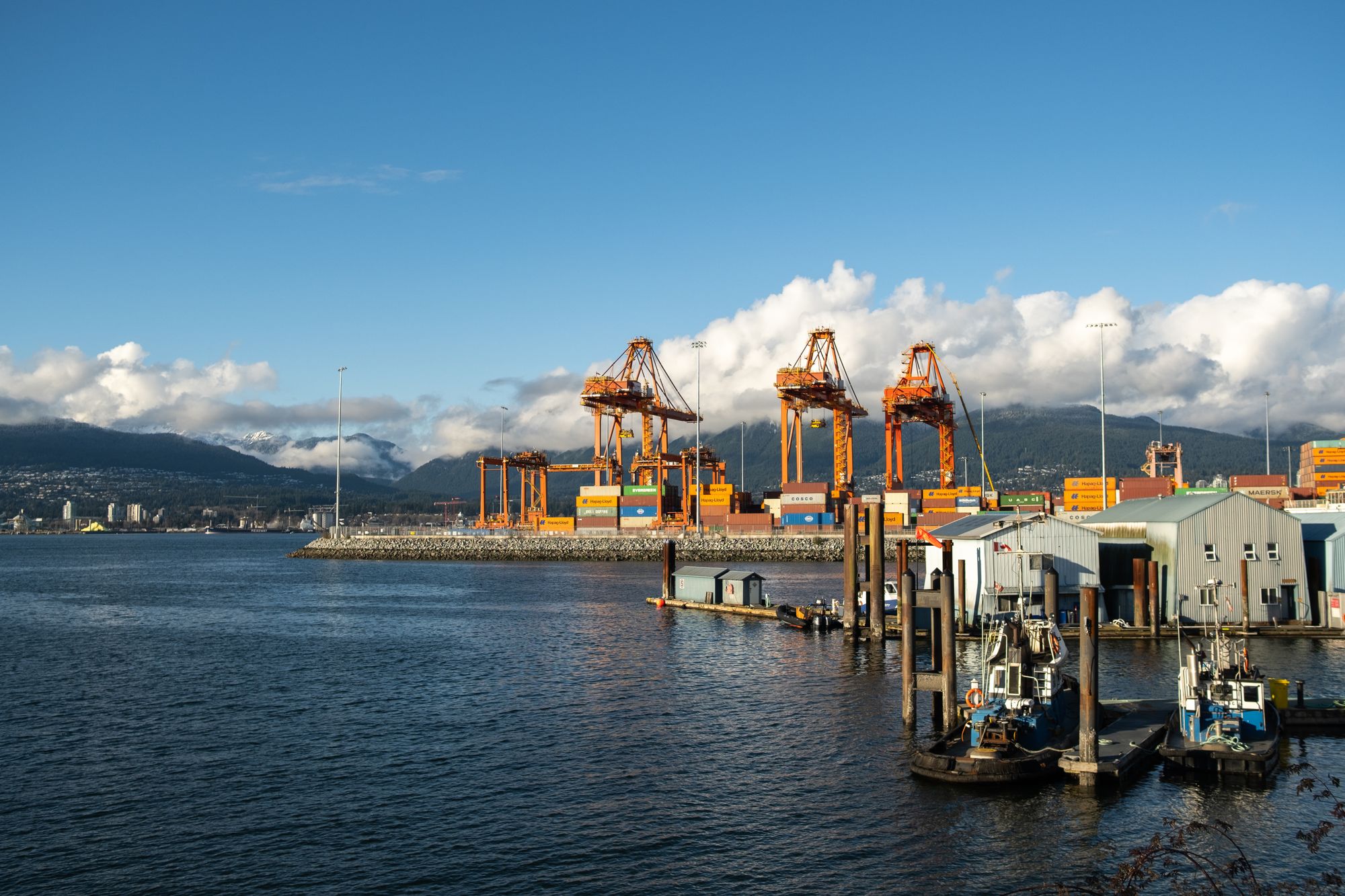 Port Coquitlam South