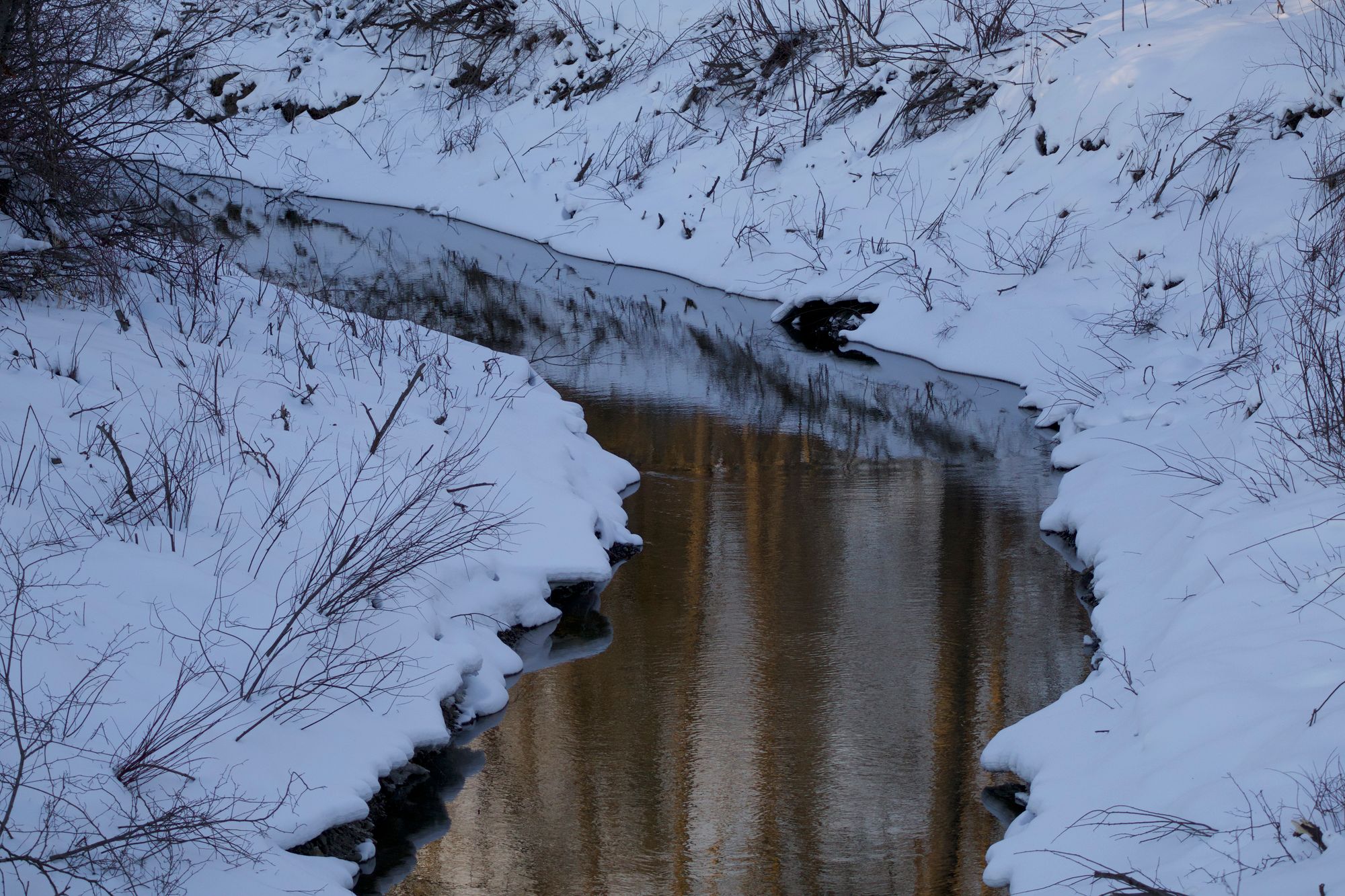 Morgan Creek