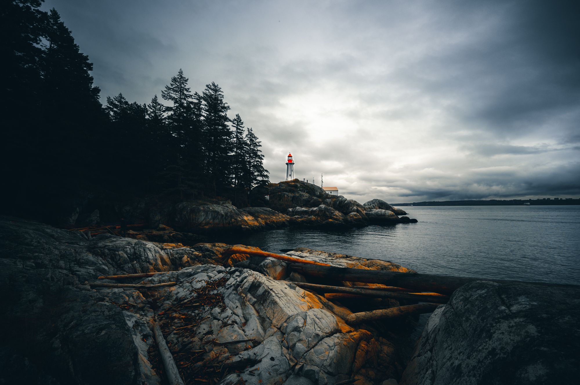 Arbutus